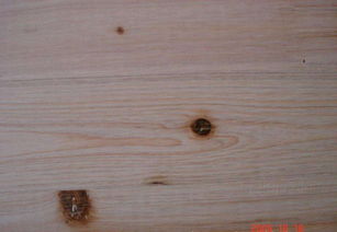 中木商网 木材行业的数字化新枢纽，一站式批发采购平台